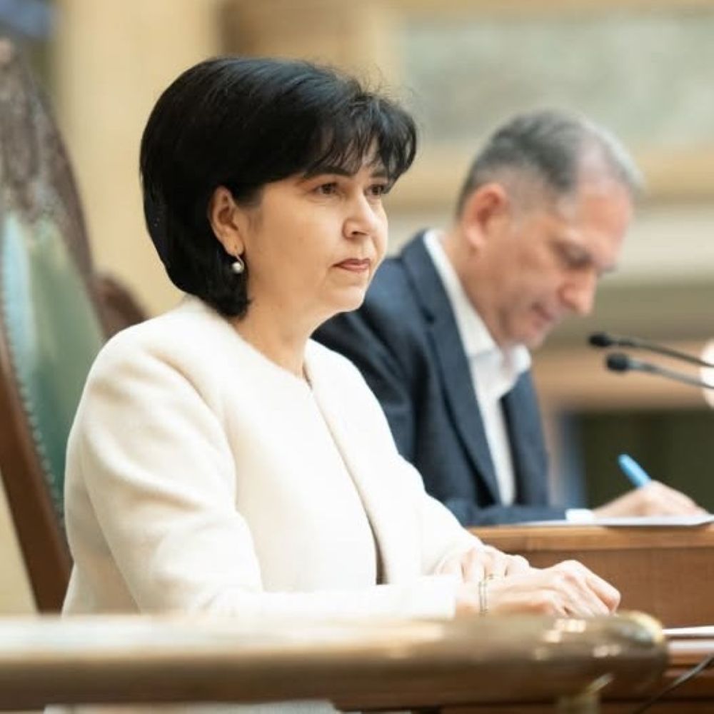 Doina Federovici, PSD: Proiecte de 30 de milioane de euro aprobate pentru județul Botoșani