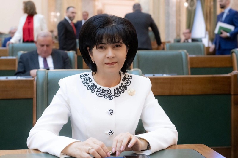 doina federovici