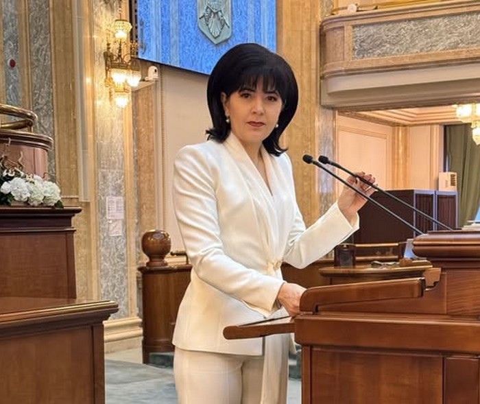 doina federovici