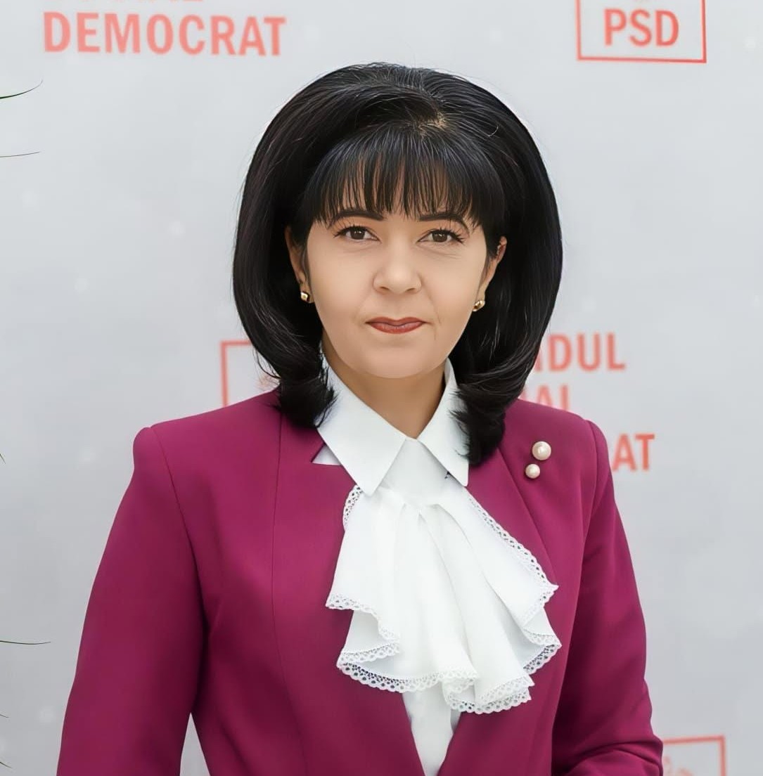Doina Federovici, anunt despre reteaua de gaz