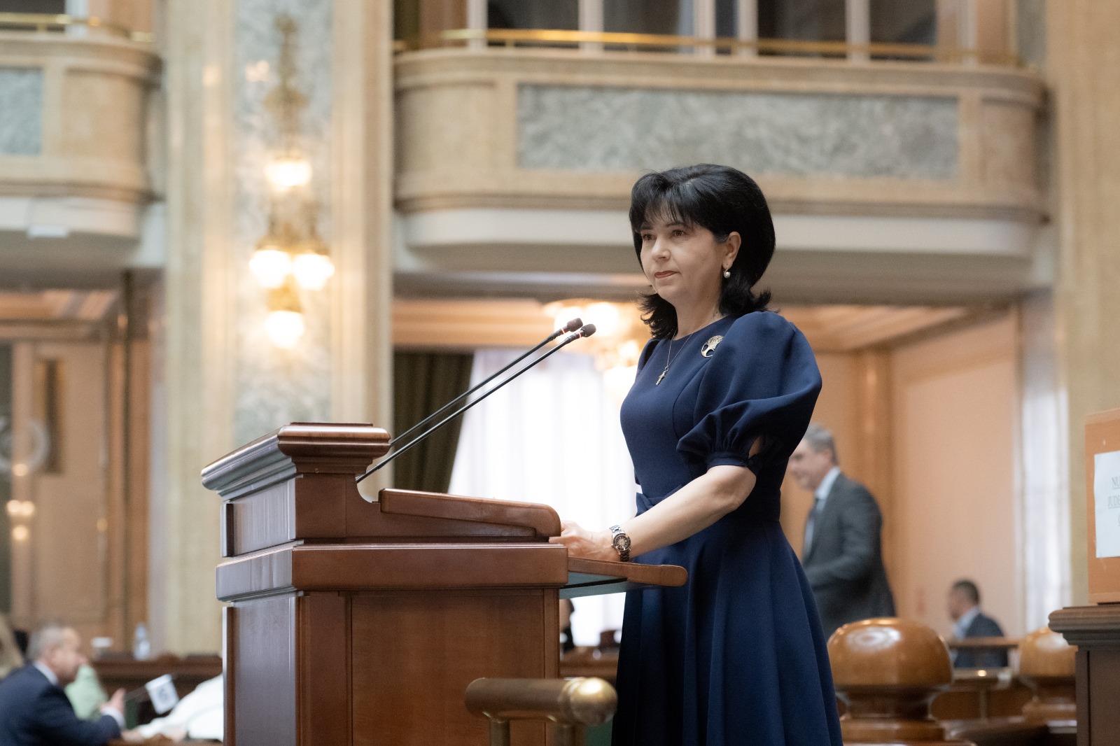 Senatorul Doina Federovici cere investiții în infrastructura rutieră a Moldovei pentru securitatea europeană – VIDEO 