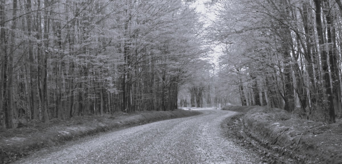 Sectorul de drum care duce spre Mănăstirea Gorovei va fi modernizat: Facem un lucru important pentru toți credincioșii 