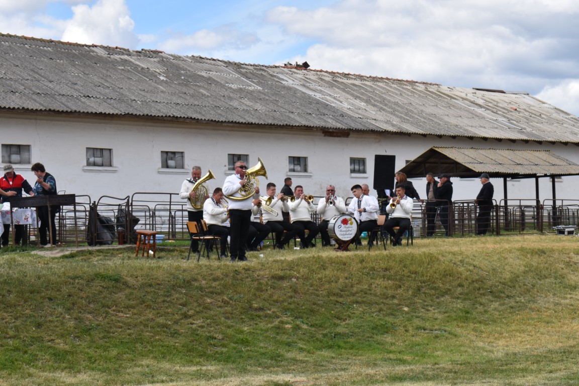 Poza zilei 15 mai 2024