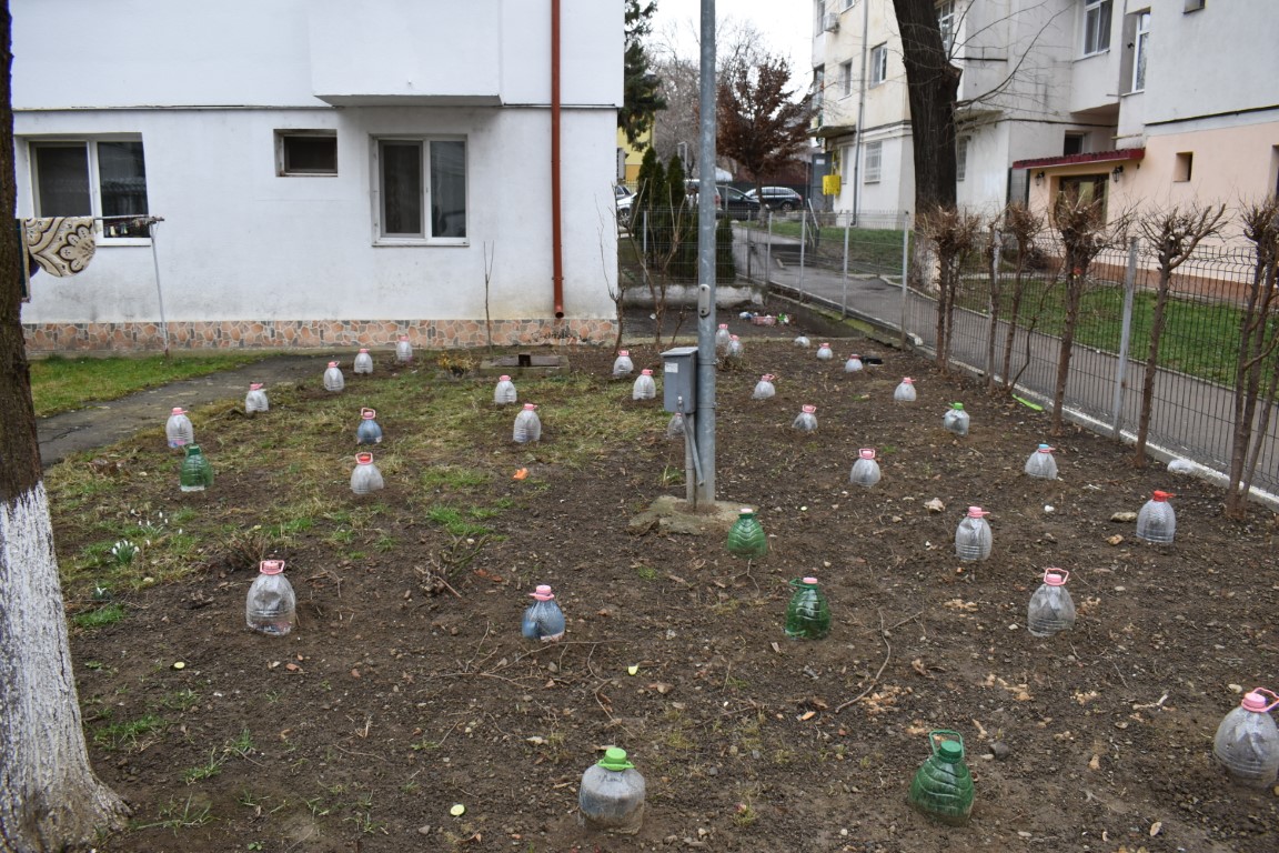 Poza zilei 6 februarie 2025 