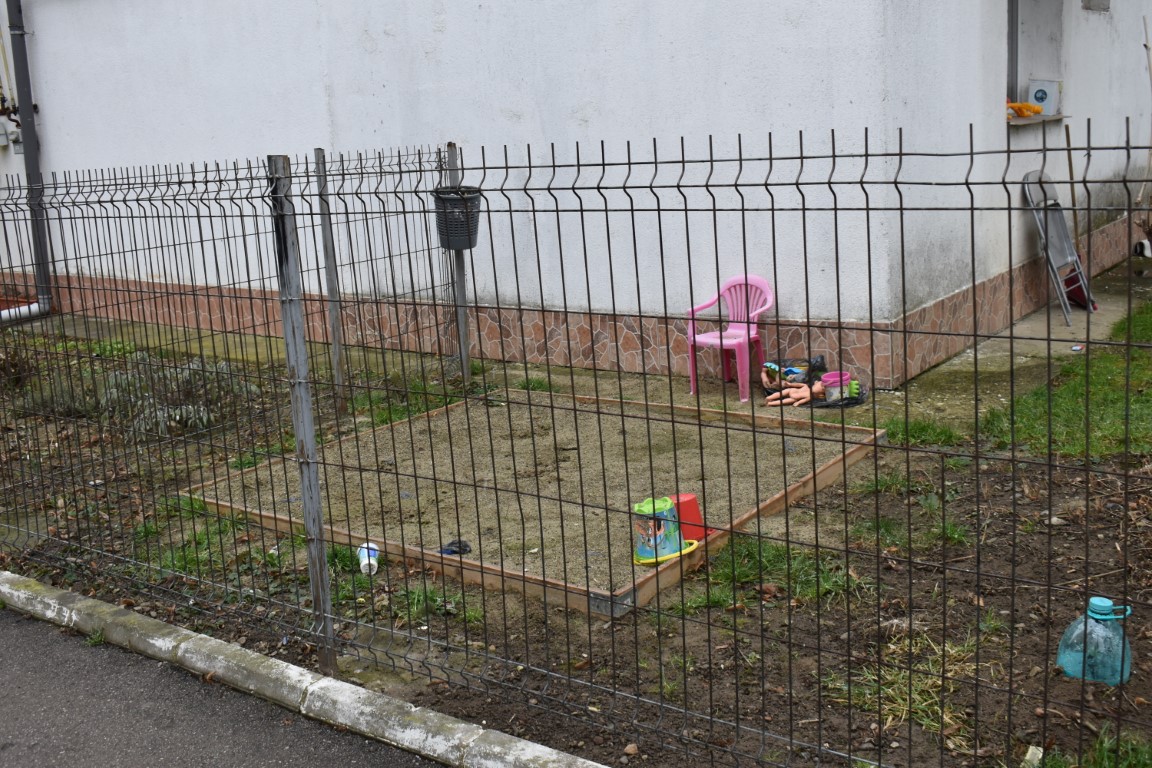 Poza zilei 12 februarie 2025 