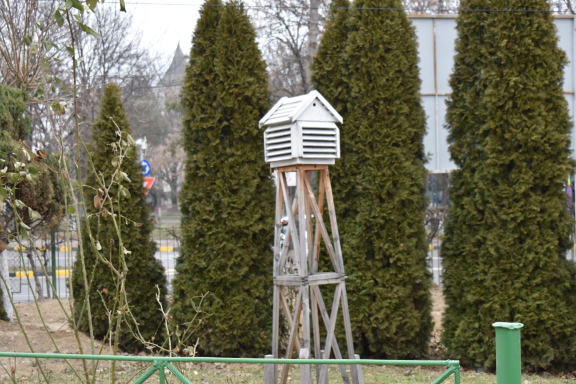 Poza zilei 3 martie 2025 