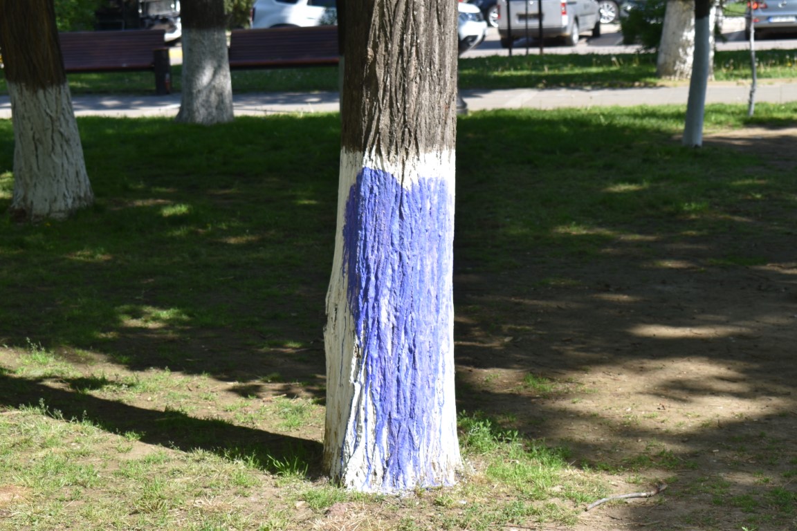 Poza zilei 30 aprilie 2024 