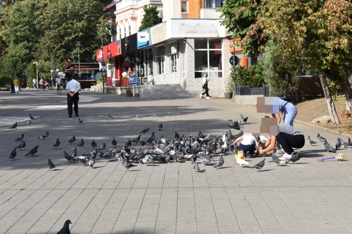 Poza zilei 6 septembrie 2024 