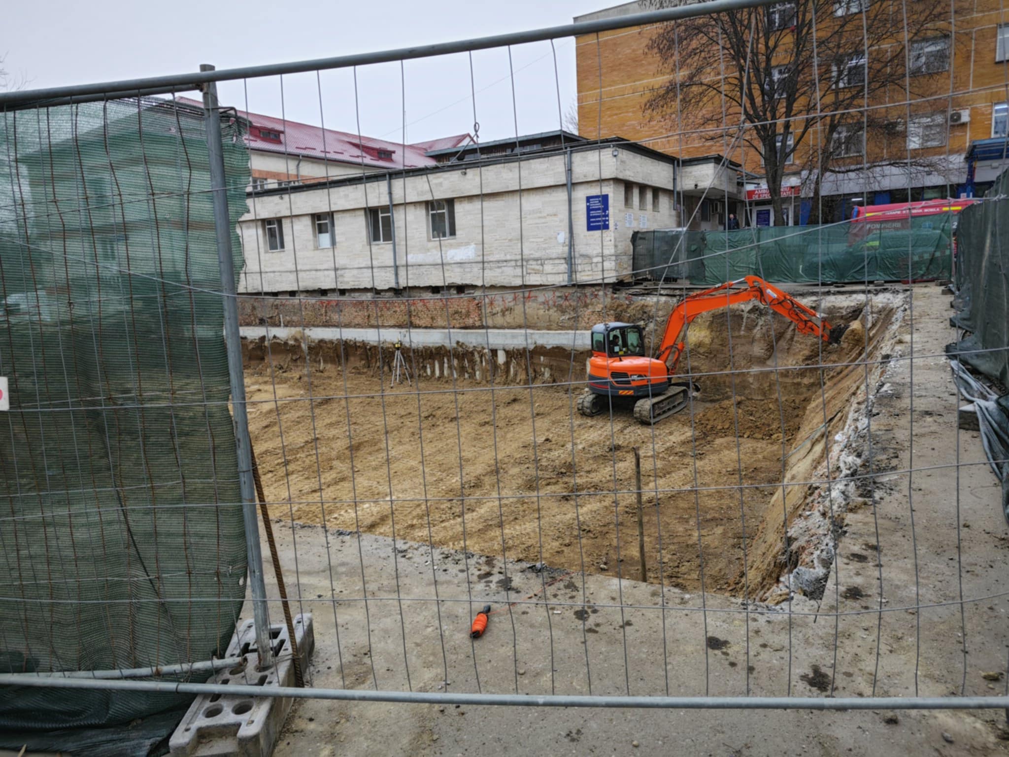 Poza zilei 11 februarie 2025 