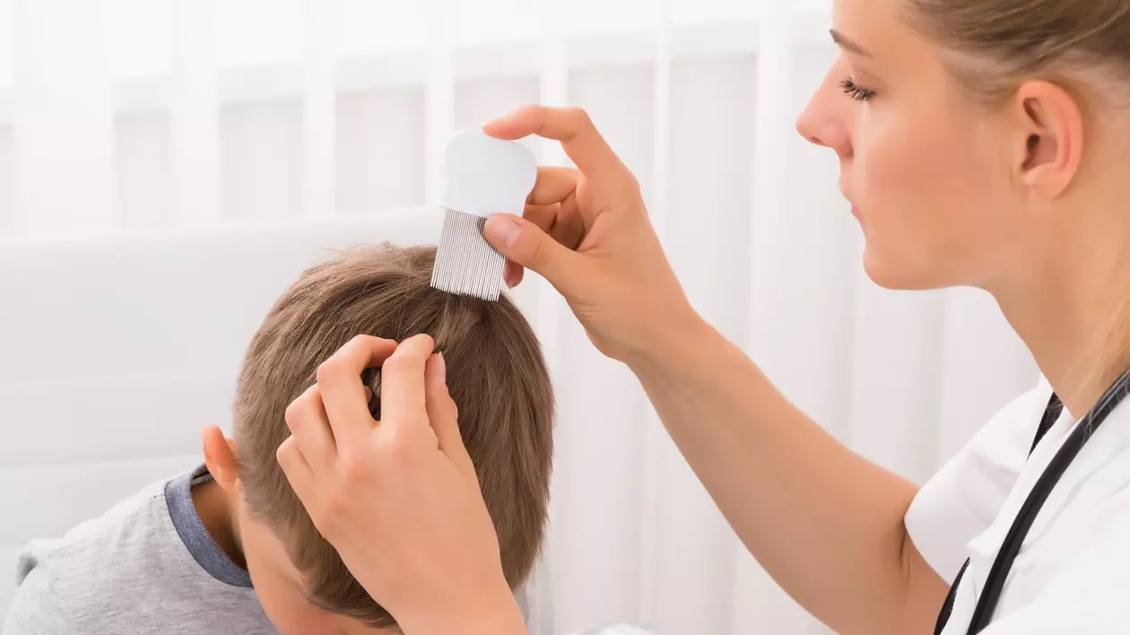 Aproape 100 de elevi din Botoșani plini de păduchi la începutul școlii  