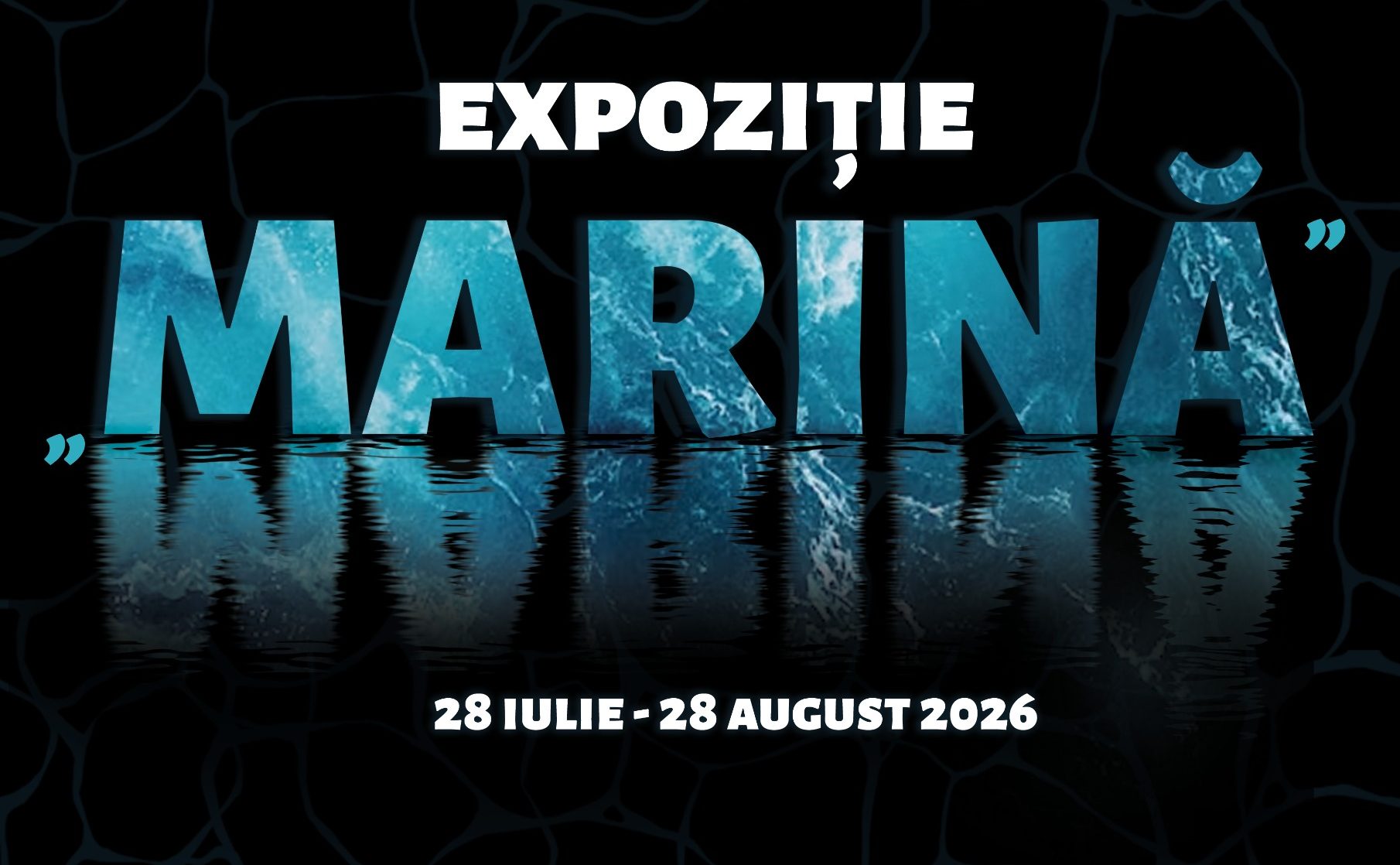 Expoziția „Marină” se deschide la Botoșani: patru artiști aduc pe simeze forța și culorile mării
