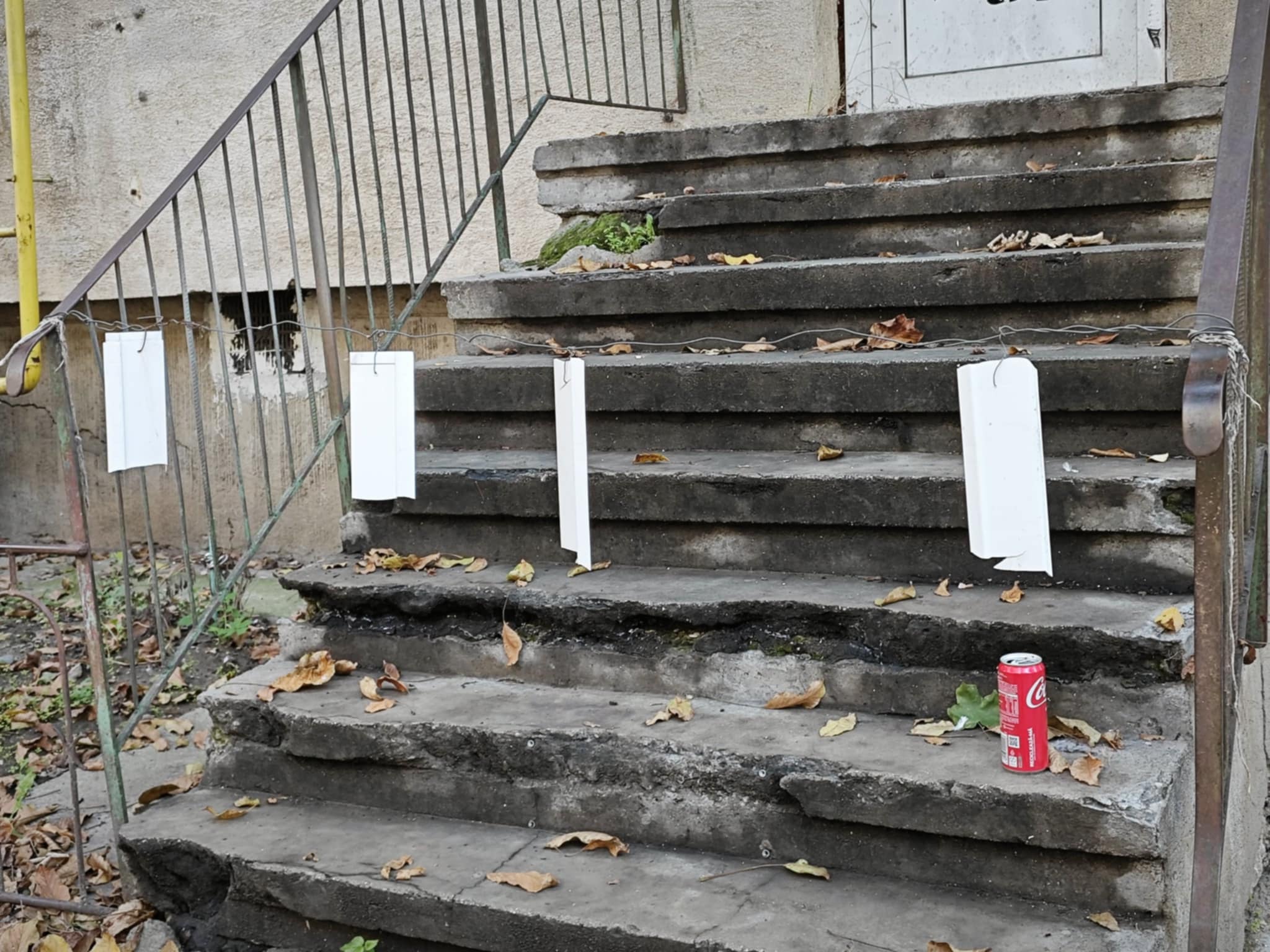 Poza zilei 29 octombrie 2024 