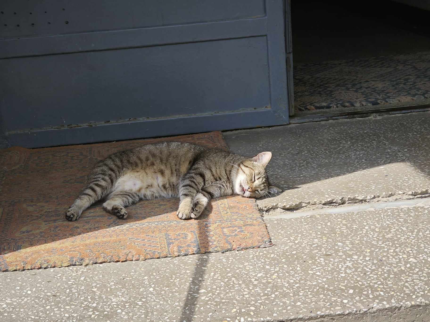 Poza zilei 17 iunie 2024 