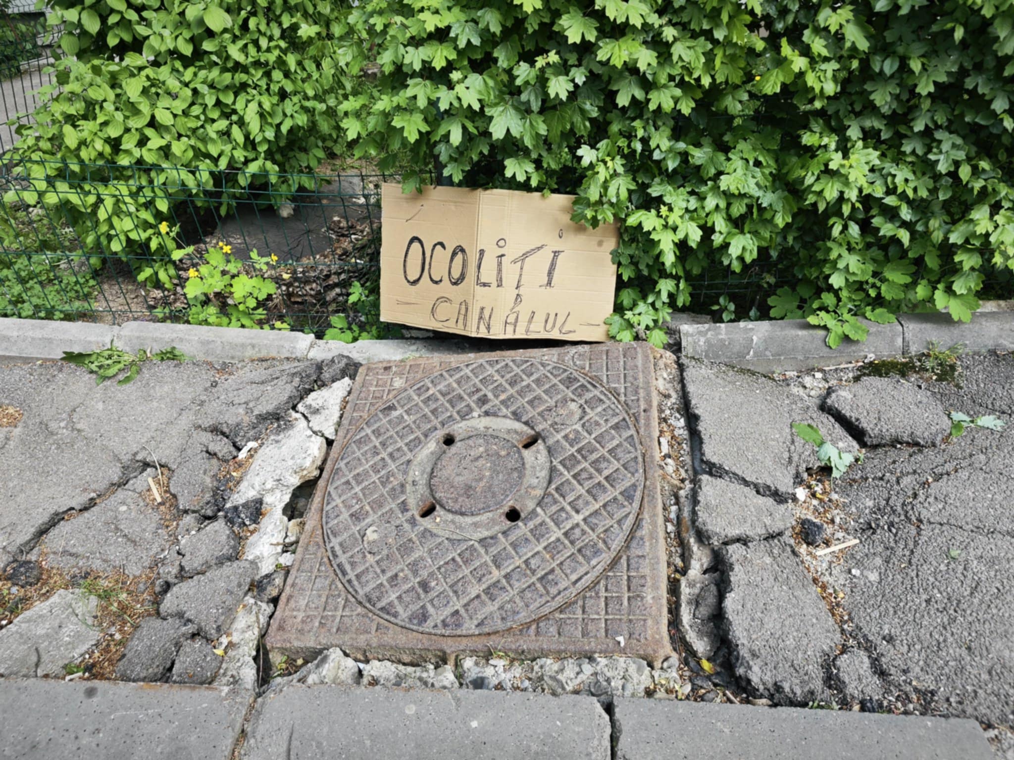 Poza zilei 7 mai 2025 