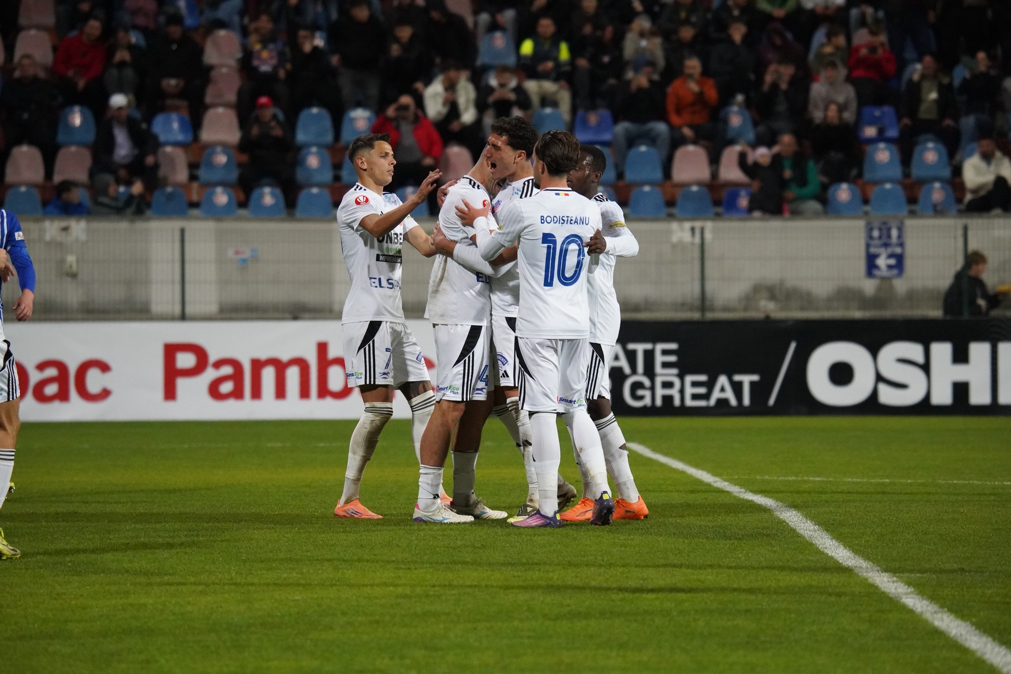 PROGRAMUL etapei a 17-a: CÂND joacă FC Botoșani cu Dinamo 