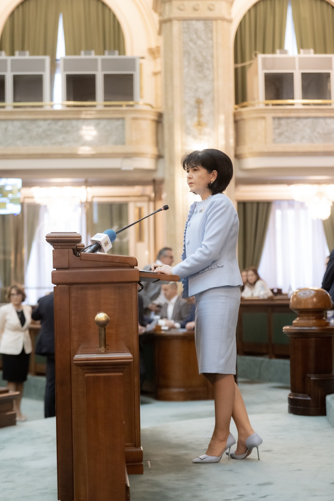 Constructor desemnat pentru Linia Electrică Aeriană de 400 KV care va traversa sudul județului