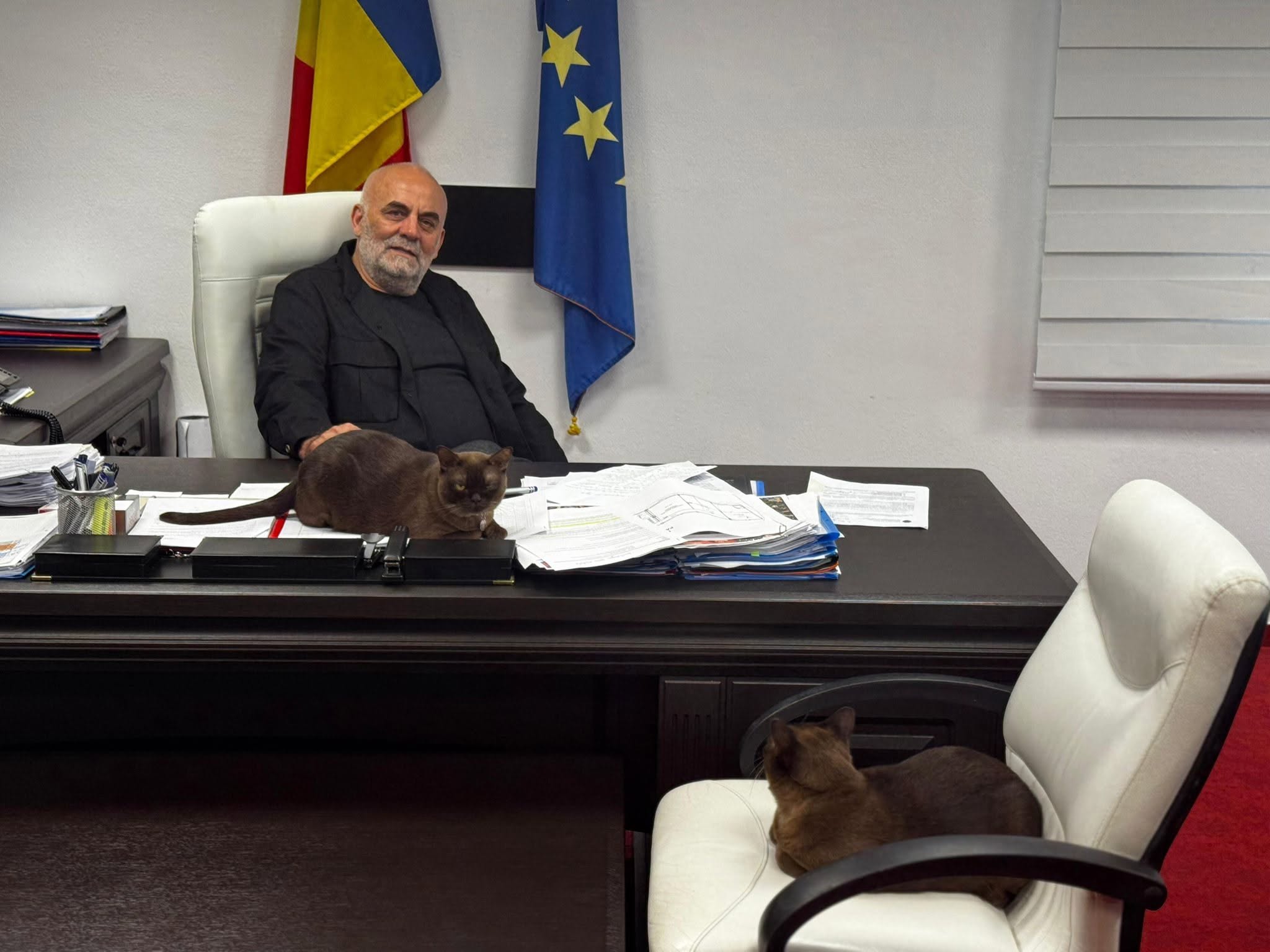 Felix si Otilia