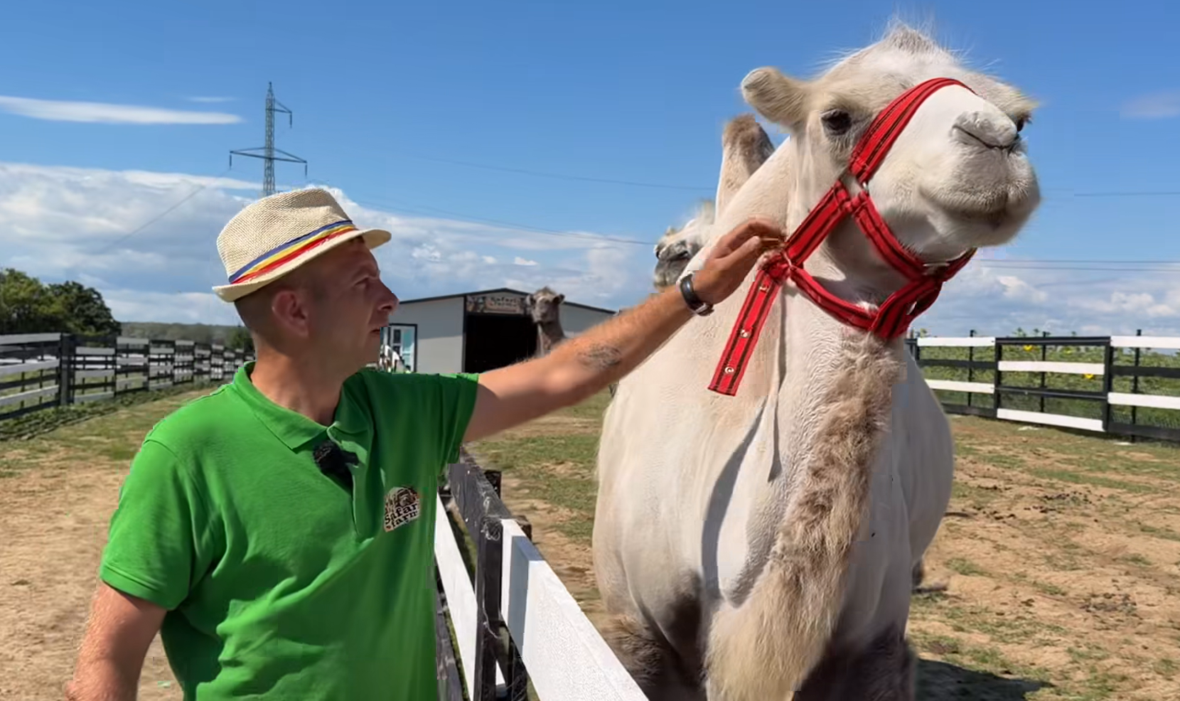 ferma safari la botosani