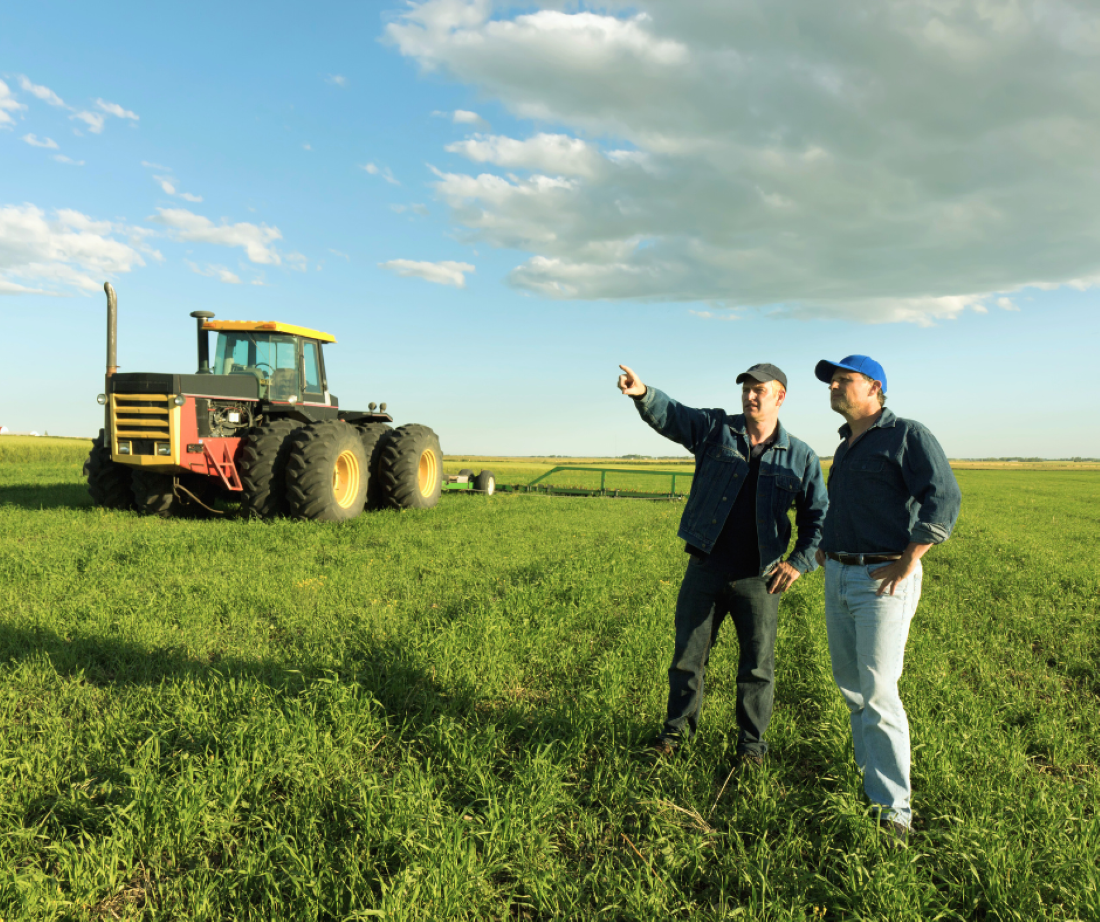 FĂRĂ forță de muncă în agricultură: Fermierii își găsesc tot mai greu angajați