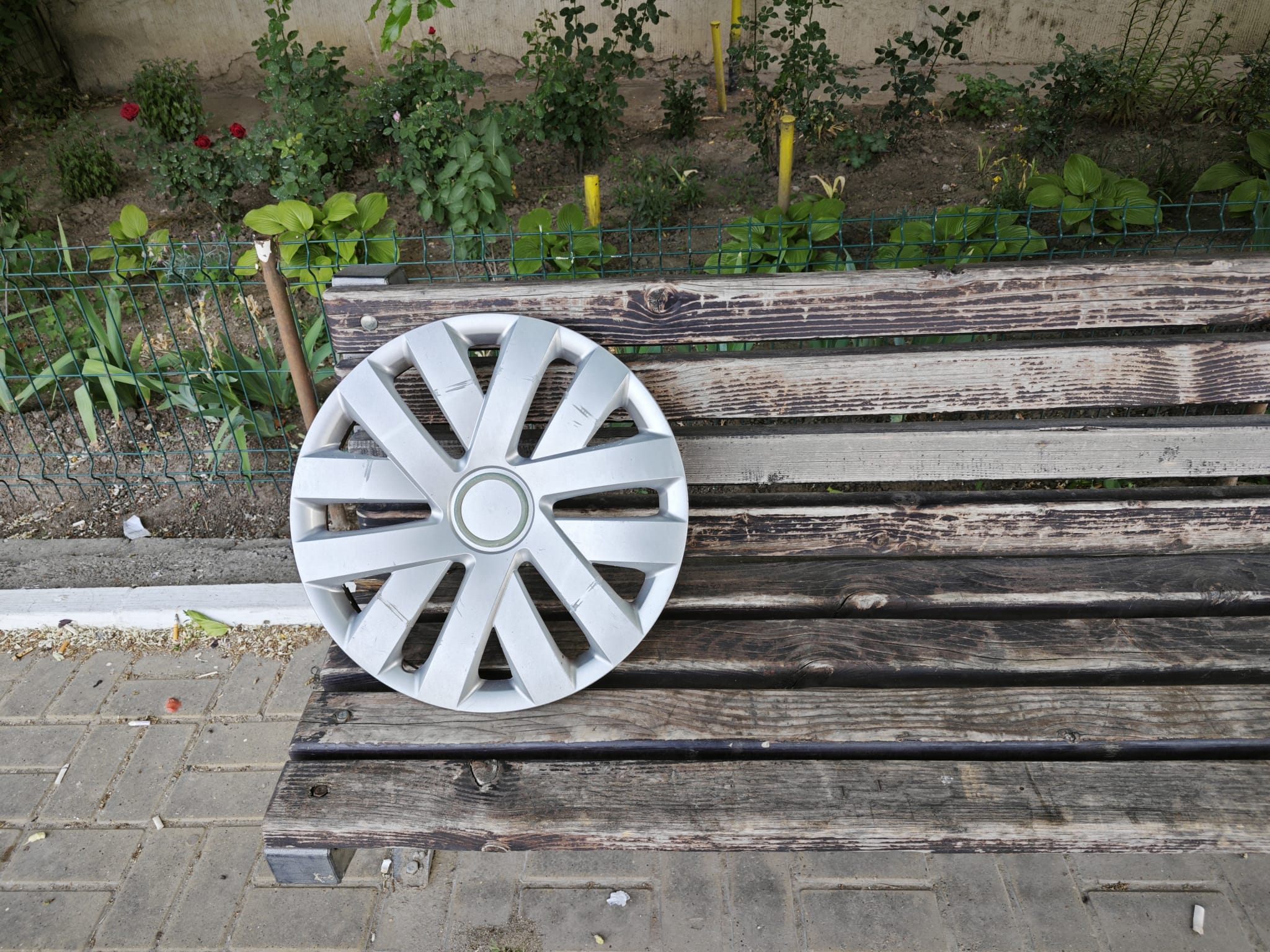 Poza zilei 19 iunie 2024 