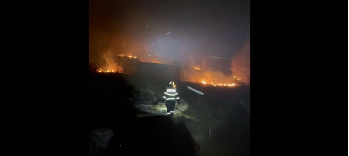 15 hectare de vegetație uscată au ars la Leorda, fermă salvată din calea flăcărilor – VIDEO 