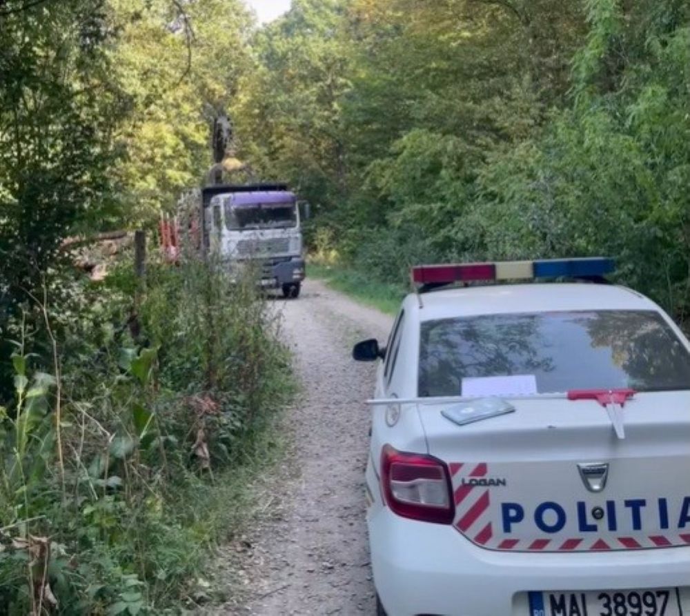 Furt de lemne filmat într-o pădure din Botoșani - VIDEO