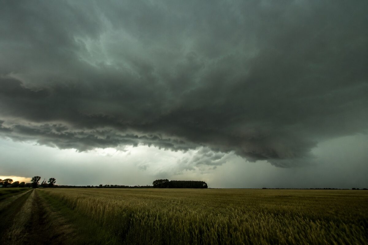 furtuni anuntate de meteorolgi.
