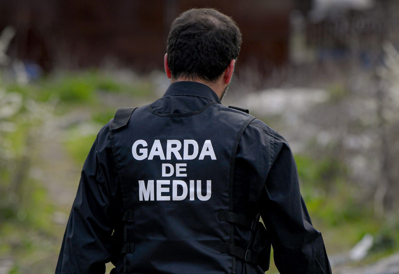 Primăriile din Botoșani verificate dacă respectă legea cu spațiile verzi