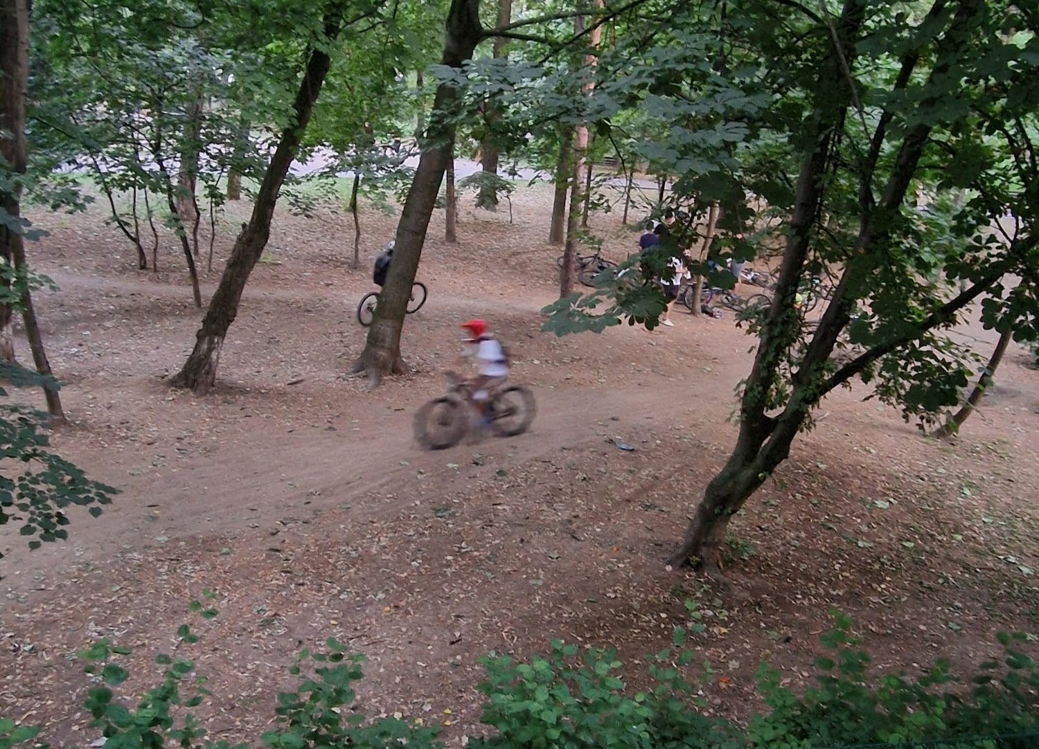 O gașcă de băieți cu biciclete distrug Parcul Eminescu și sar de pe trambuline, Poliția Locală le caută părinții – VIDEO