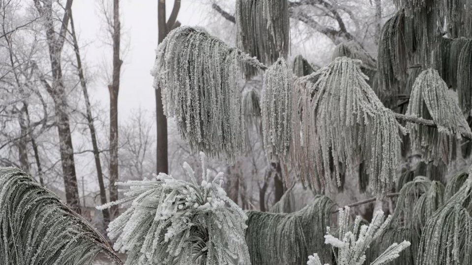 CODUL GALBEN de ger a fost prelungit la Botoșani 