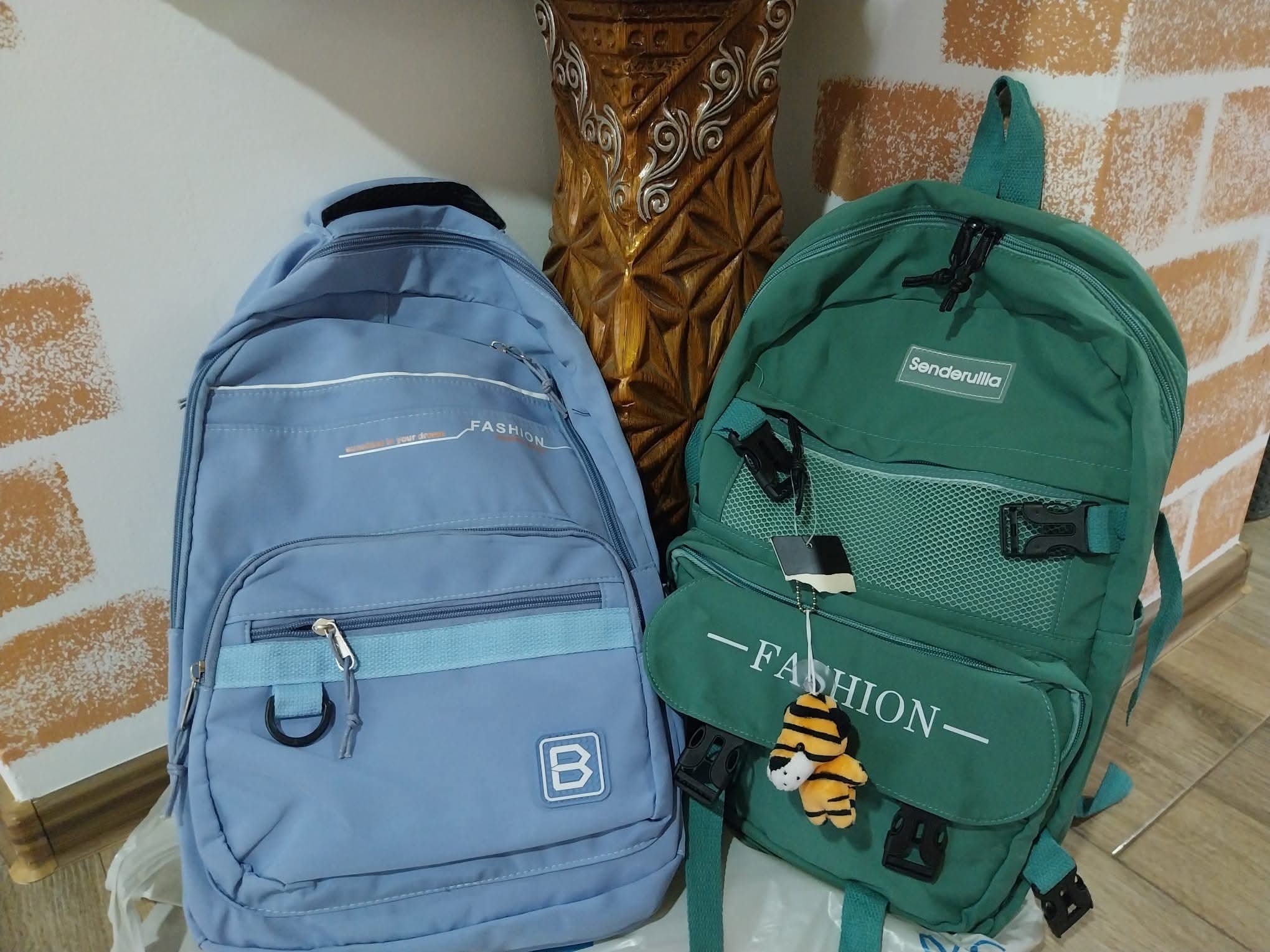 Ghiozdane pentru un început de școală: Apel pentru copiii sărmani ai Botoșaniului