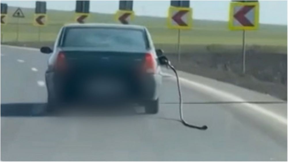 Un șofer din Botoșani, „vedetă” în trafic după ce a plecat din benzinărie cu tot cu pompa de alimentare – VIDEO 