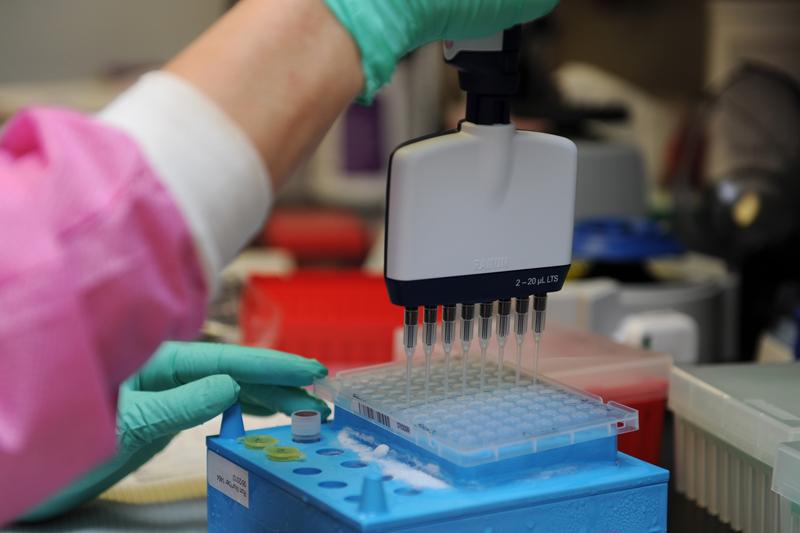 O companie controversată vrea să readucă la viață o specie vânată până la extincție