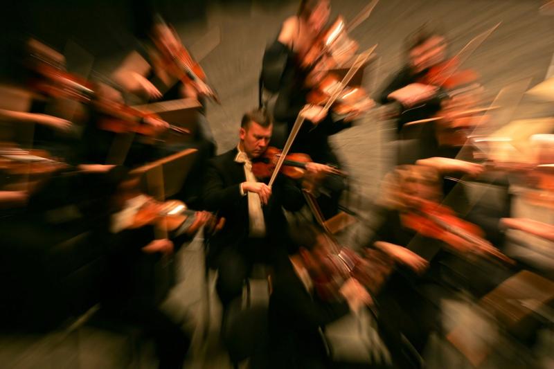 Muzicieni români de la Berlin și Londra cer oprirea comasării școlilor de muzică: "Pierderi culturale și daune umane"