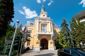 ANUNȚ Primăria Botoșani: Se convocă în ședință ordinară Consiliul Local al Municipiului Botoșani, pentru data de 29.08.2024