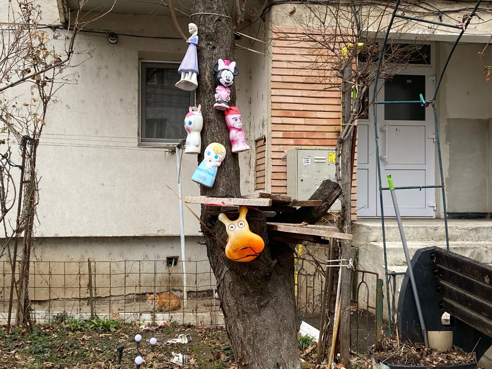 Poza zilei 14 martie 2024 