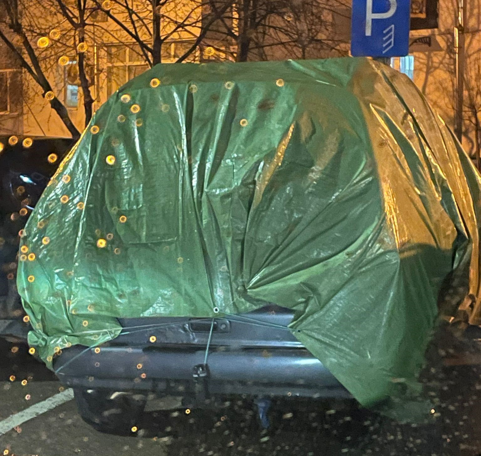 Poza zilei 19 martie 2024 