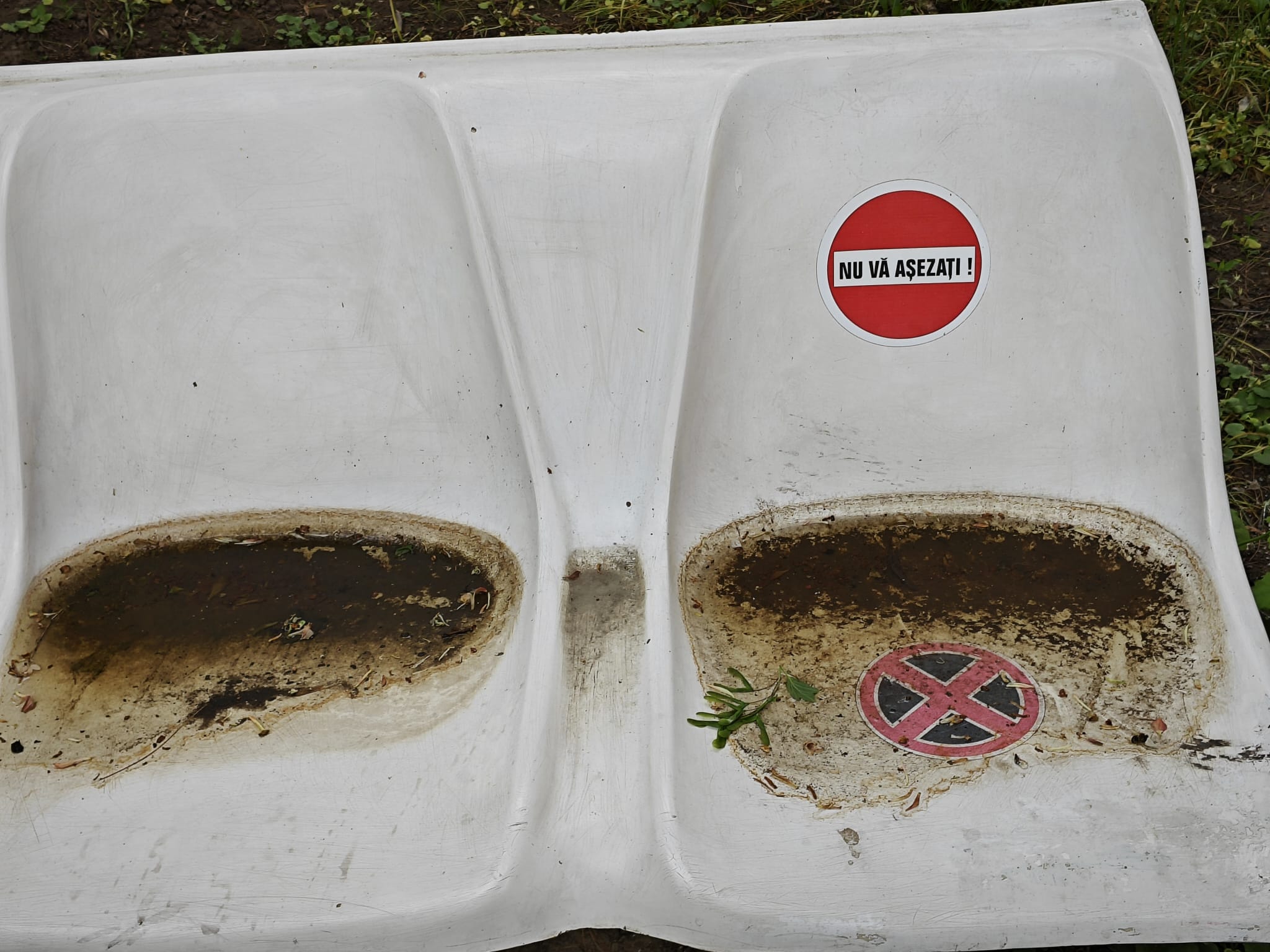 Poza zilei 26 aprilie 2024 