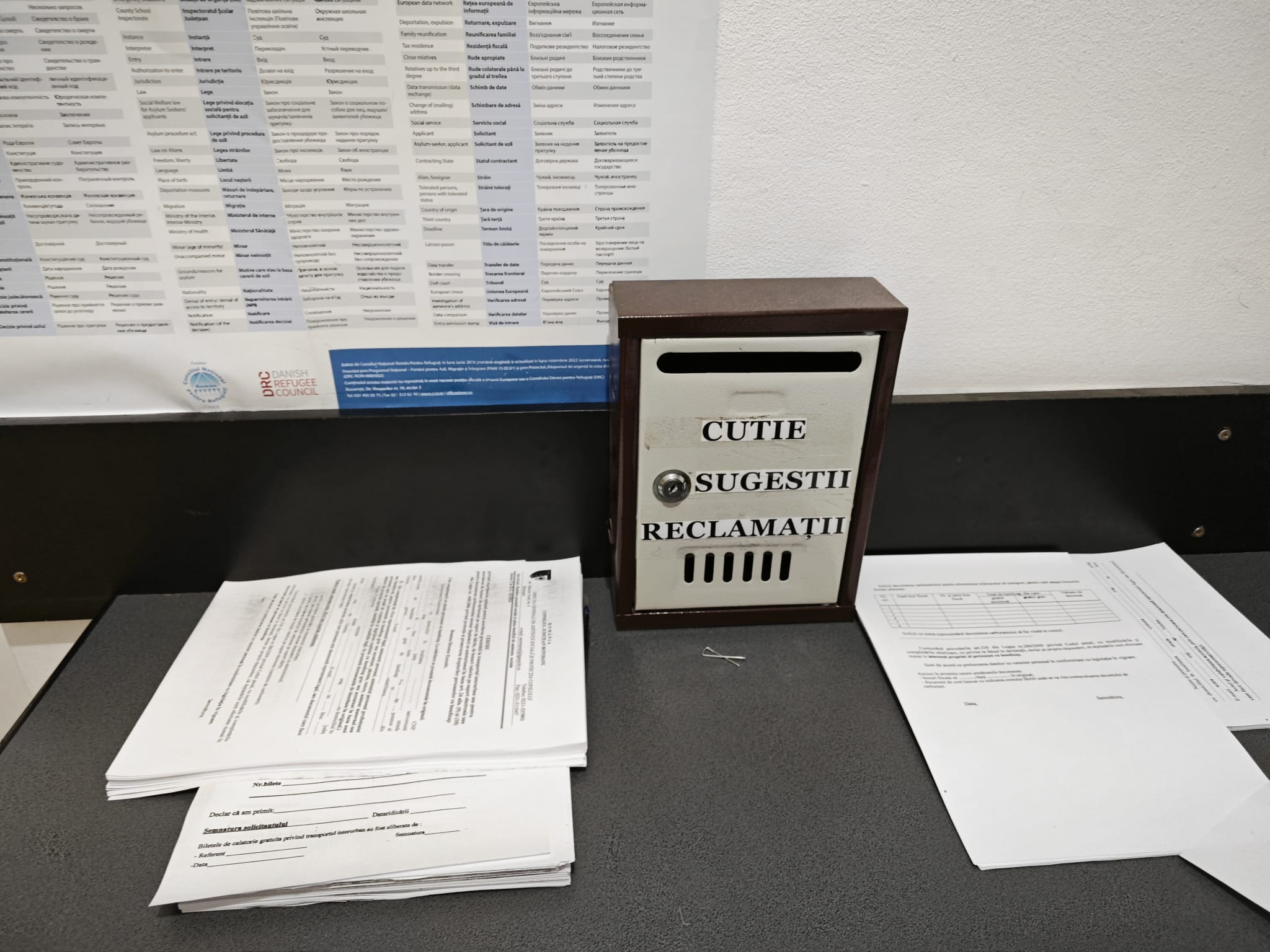 Poza zilei 8 mai 2024 