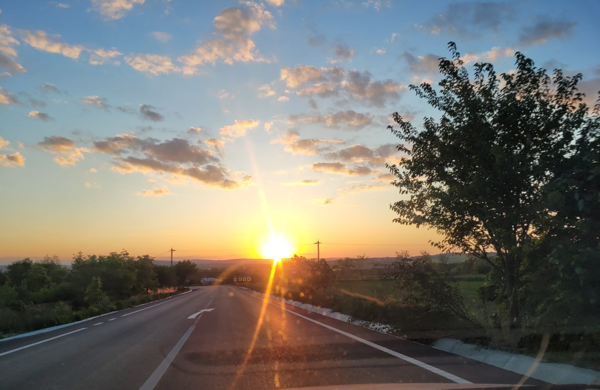 Poza zilei 1 iulie 2024 