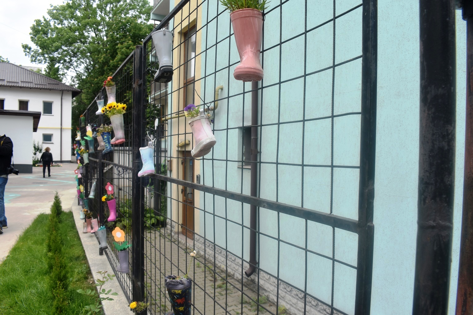 Poza zilei 4 iunie 2024 