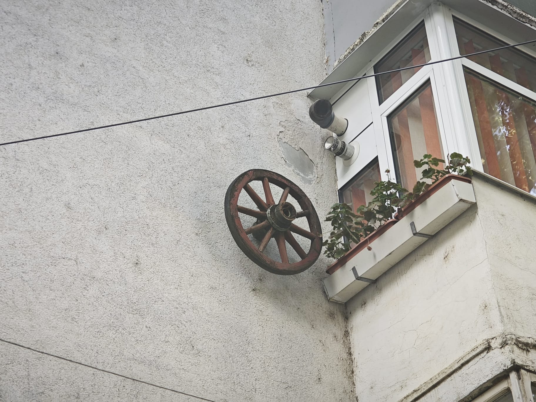 Poza zilei 12 iunie 2024 