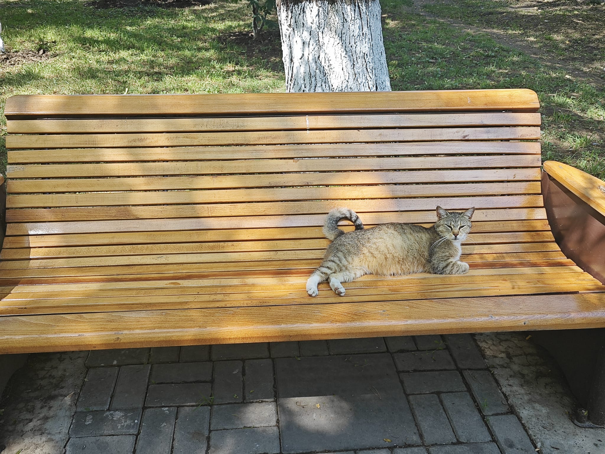 Poza zilei 13 iunie 2024 