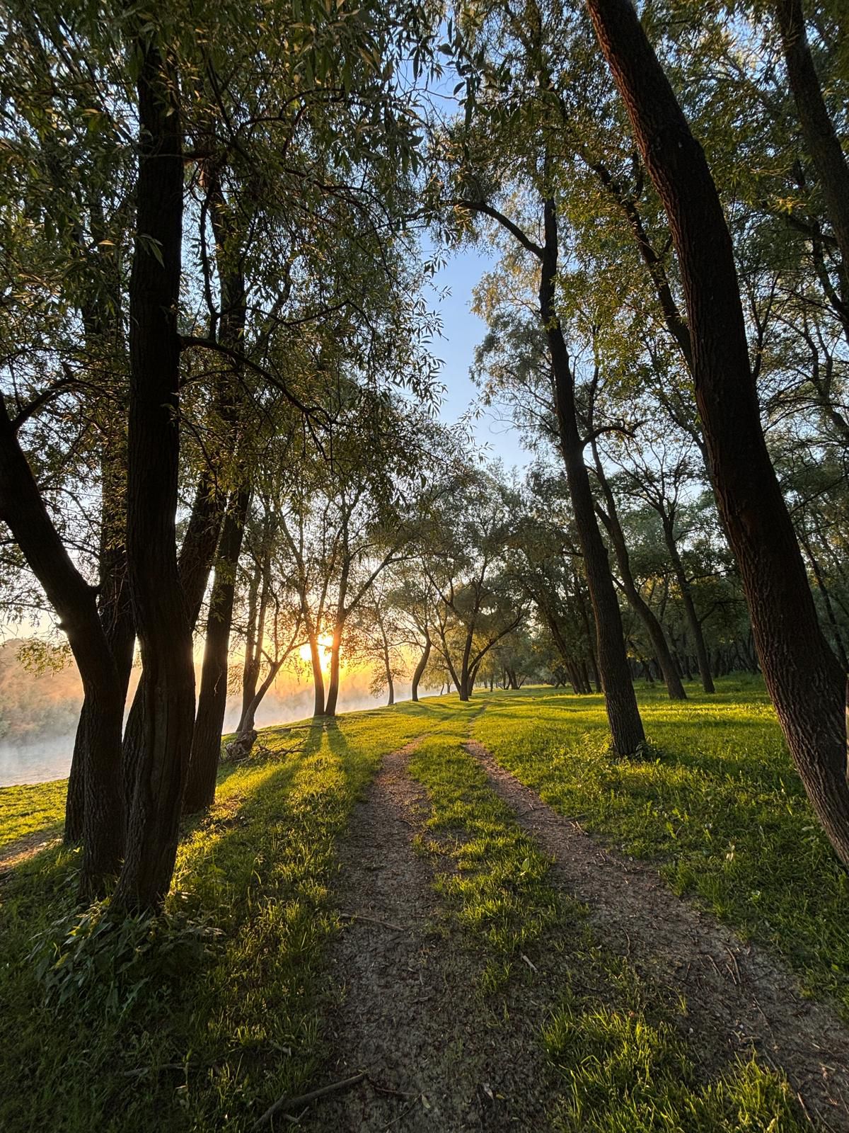 Poza zilei 8 iulie 2024 