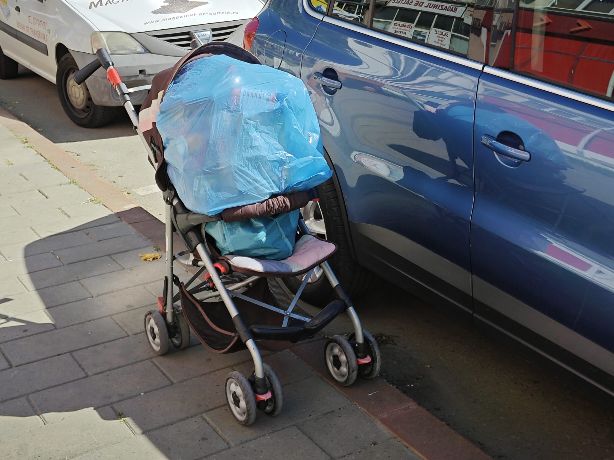 Poza zilei 10 iulie 2024 