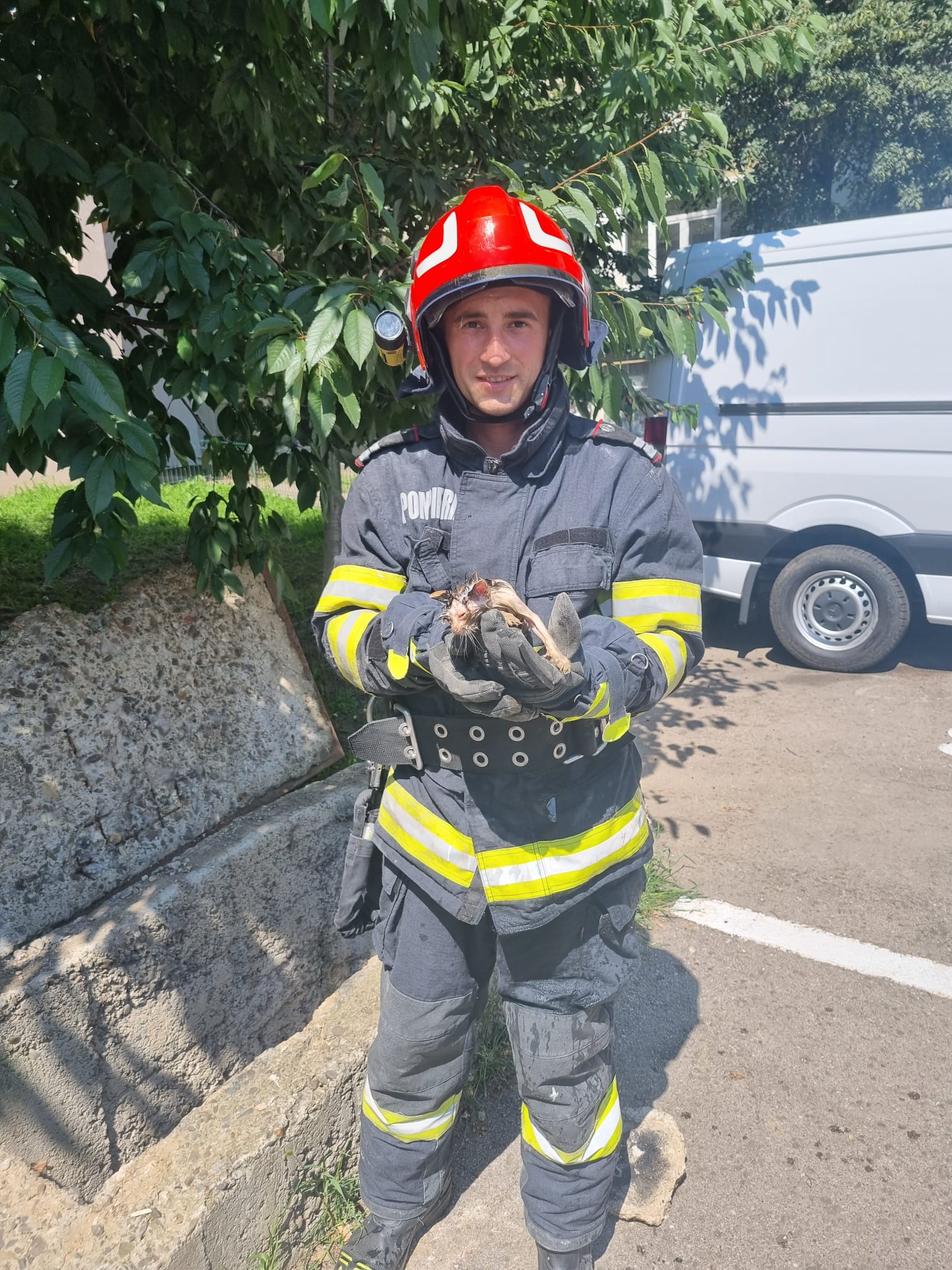 Intervenție emoționantă: Pompierii din Botoșani au salvat un pui de pisică