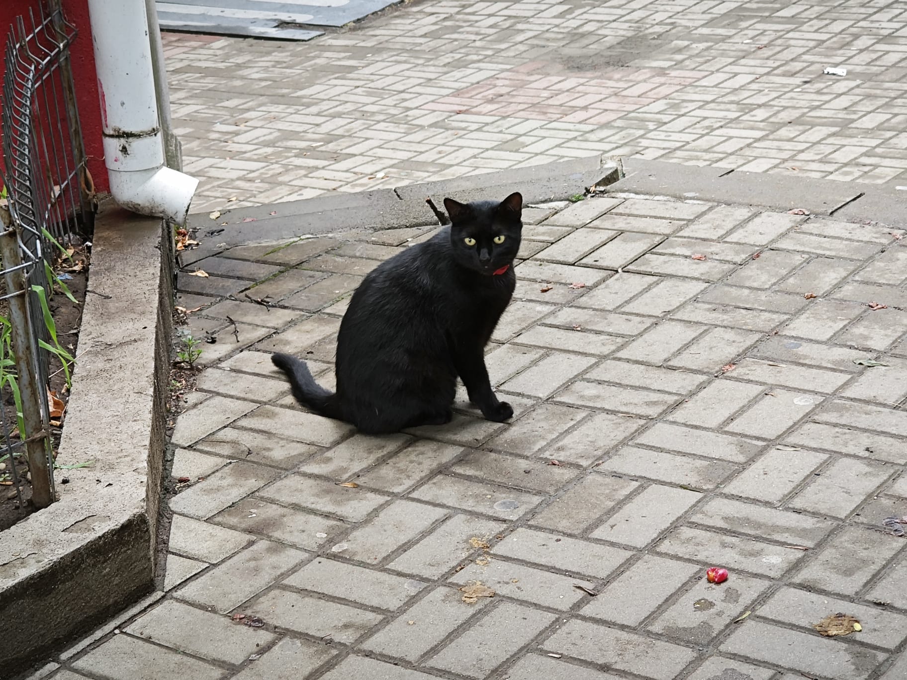 Poza zilei 24 iulie 2024