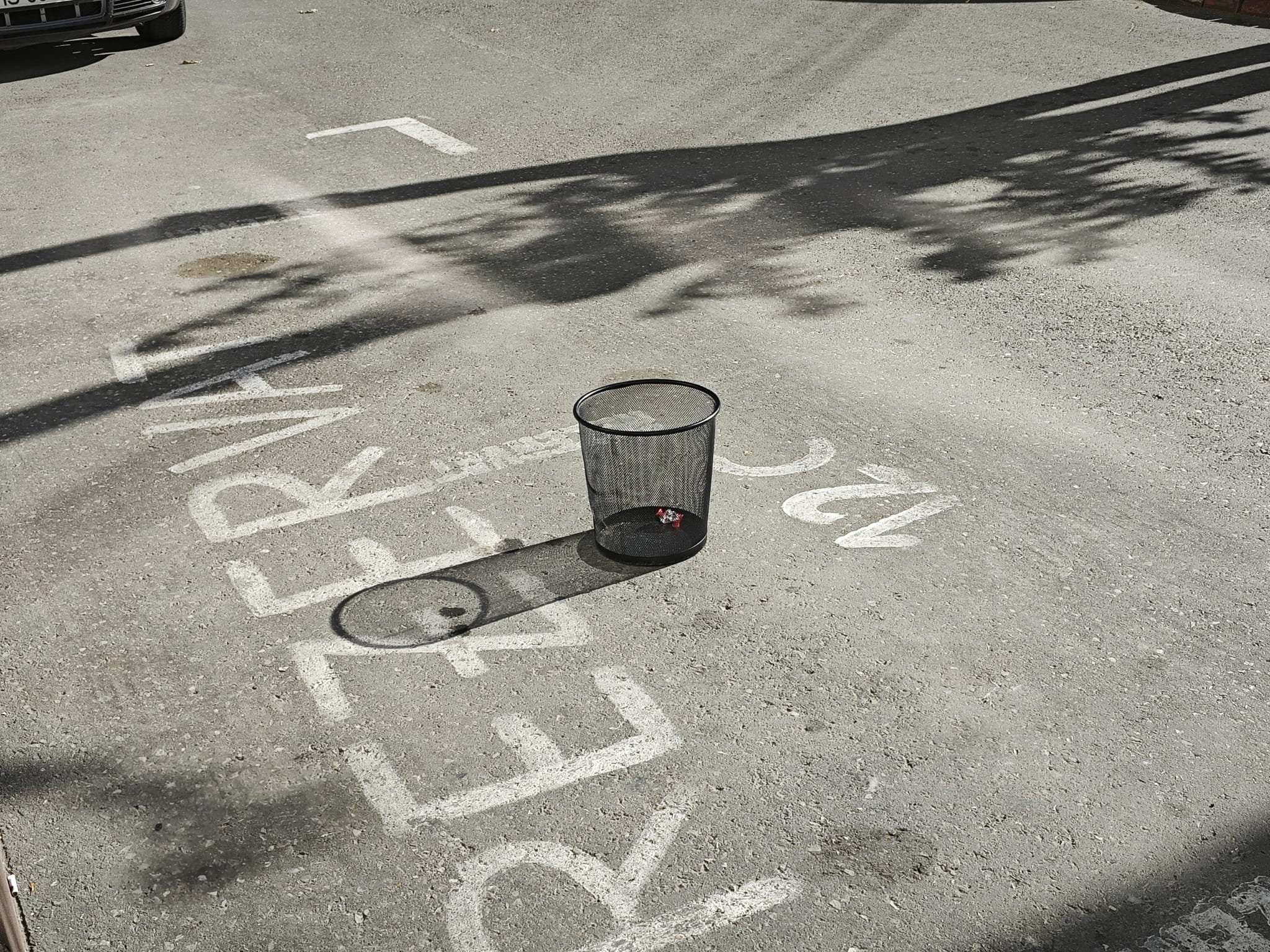 Poza zilei de 2 august 2024 