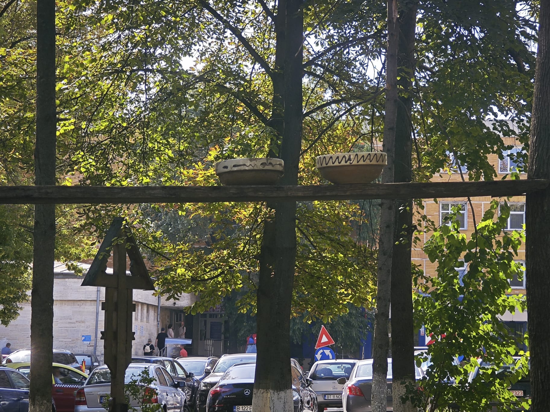 Poza zilei 5 august 2024 