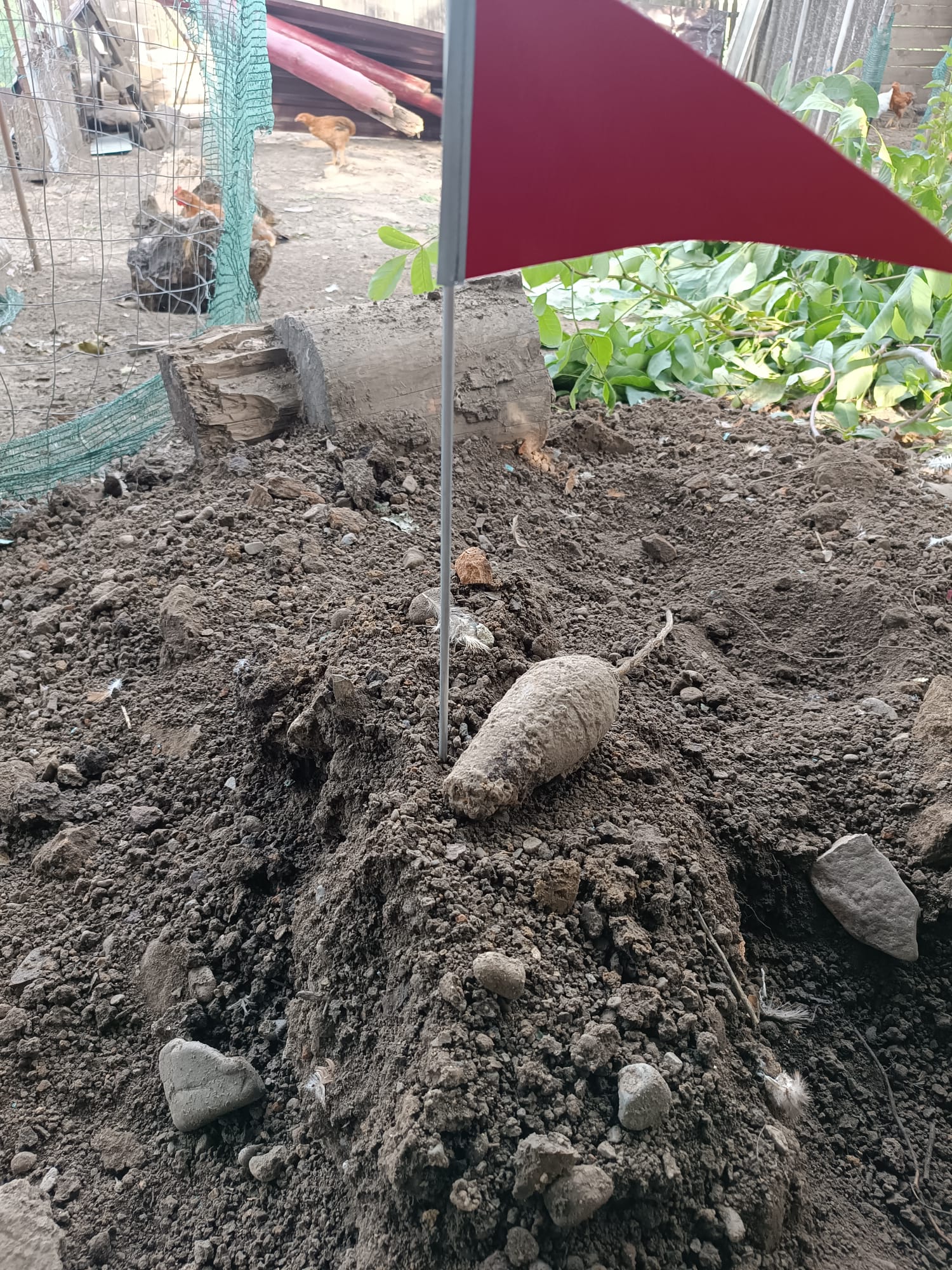 Descoperire periculoasă la Tudora: Un bărbat a găsit o bombă în grădină